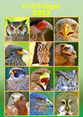 Greifvögel_2023_2.pdf